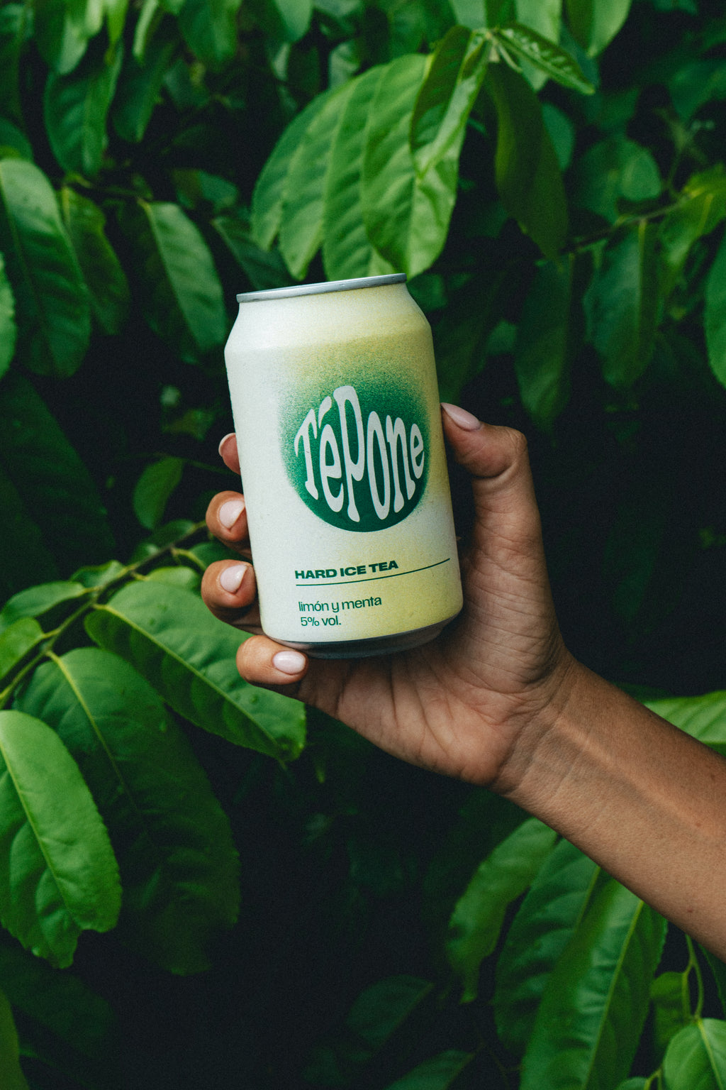 TéPone Limón - Menta